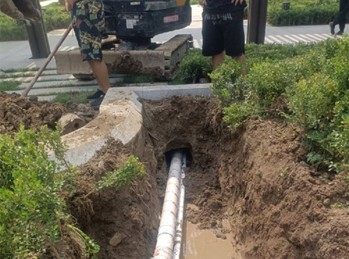 射阳穿马路