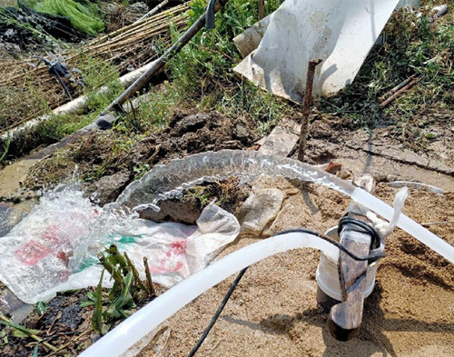 射阳鱼塘边打井
