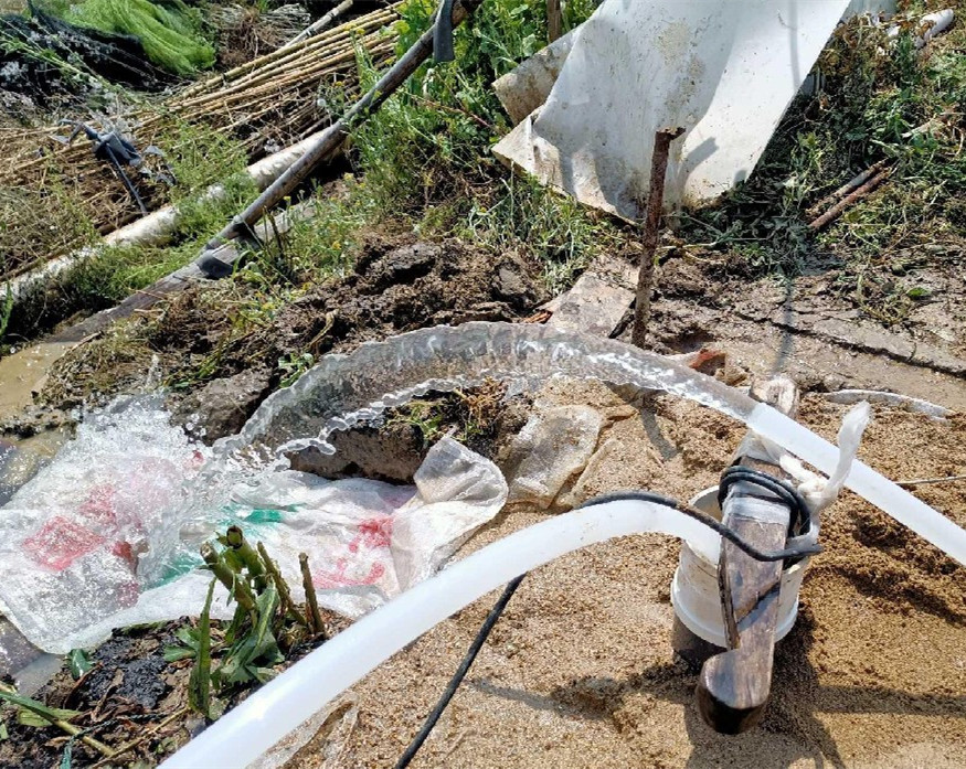 射阳果园种树打井